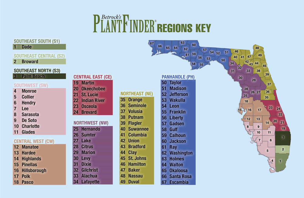 Florida Regions Key