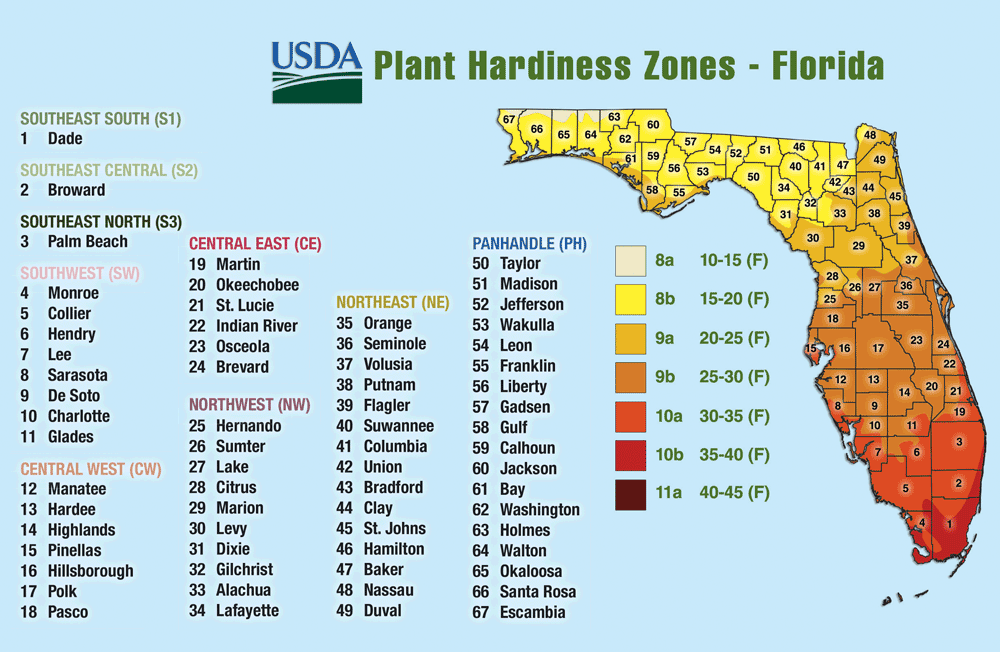 Growing Zones In Florida Map - United States Map